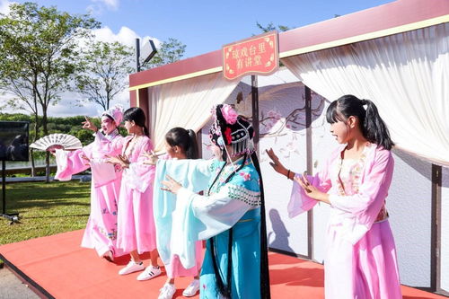 海南舉辦新時代文明實踐志愿服務項目展示活動，數字創意賦能志愿服務新風尚